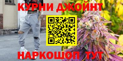 ECSTASY Гатчина