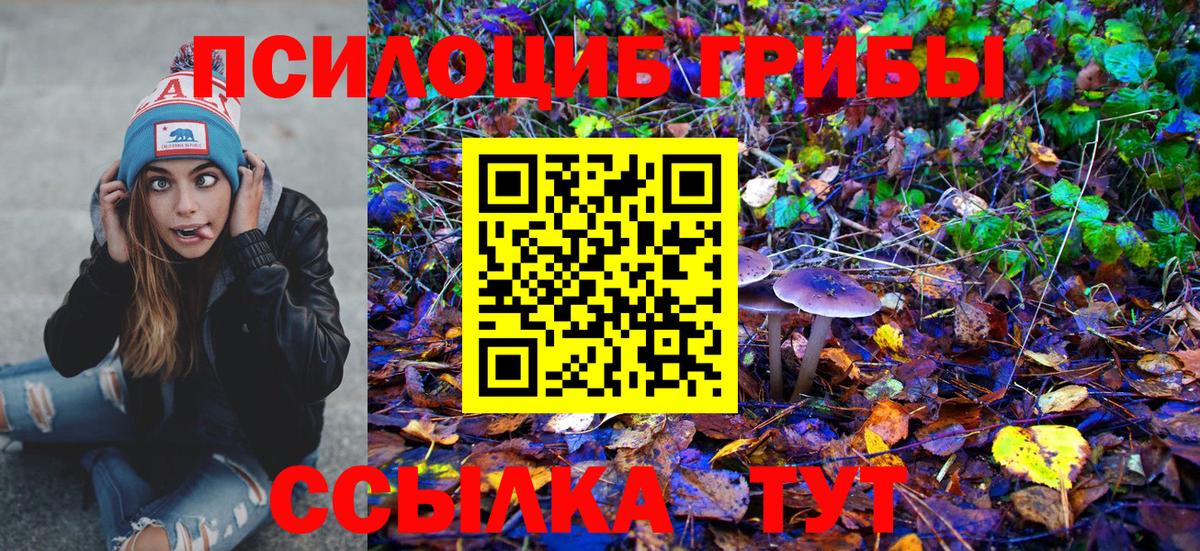 Псилоцибиновые грибы Psilocybe  Галлюциногенные грибы MAGIC MUSHROOMS  Ликино-Дулёво  даркнет сайт  Вход с VPN 