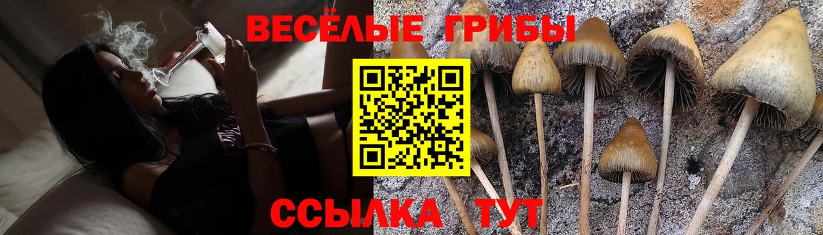 Галлюциногенные грибы Magic Shrooms Ликино-Дулёво